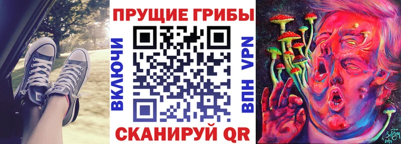 Галлюциногенные грибы Psilocybe  Бирск 